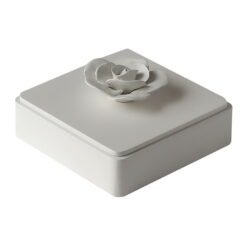 CAJA