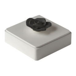 CAJA
