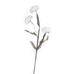 FLOR