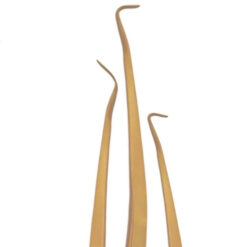 HOJA