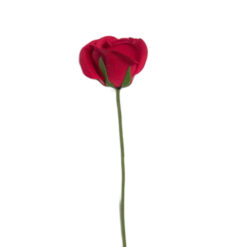 FLOR