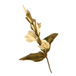 FLOR