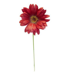 FLOR