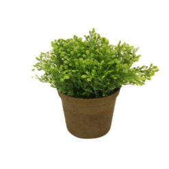 PLANTA