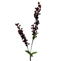 FLOR