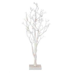 ARBOL