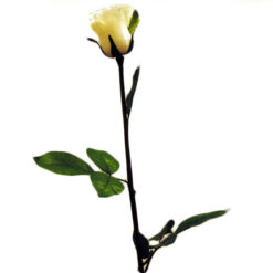 FLOR