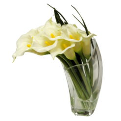 FLOR