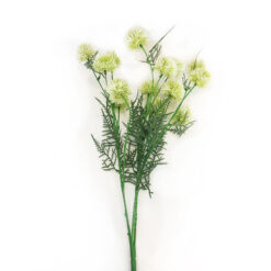 FLOR