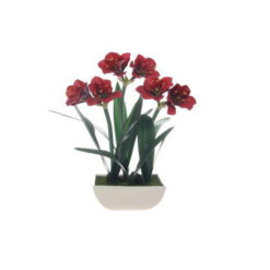 PLANTA