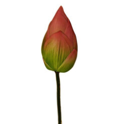FLOR