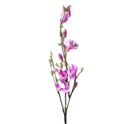 FLOR