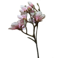 RAMA CON FLOR