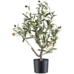 ARBOL